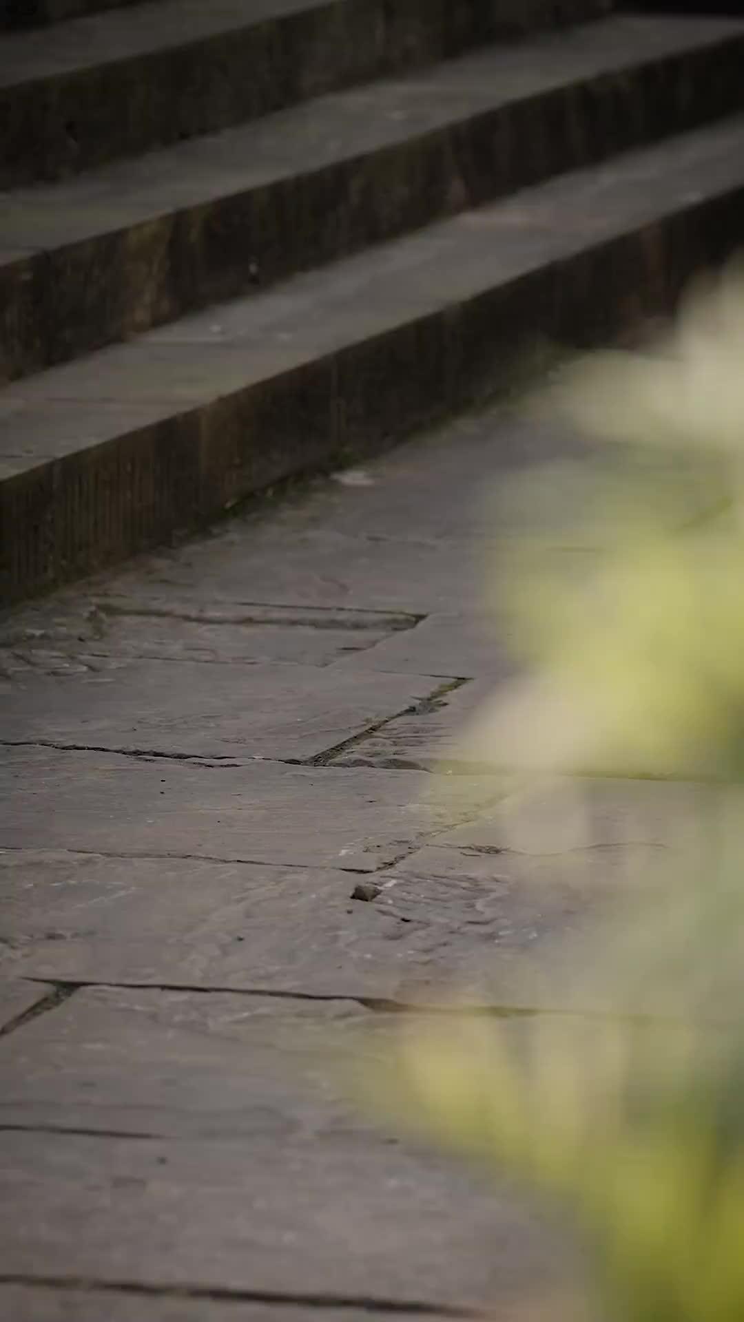 Wanita di Keluargaku Melindungi Negara