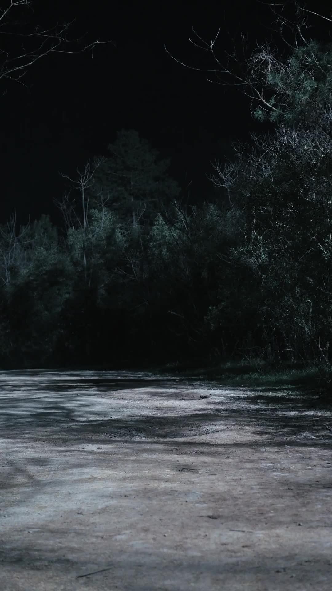 (Dubbed)Rise of the Thug