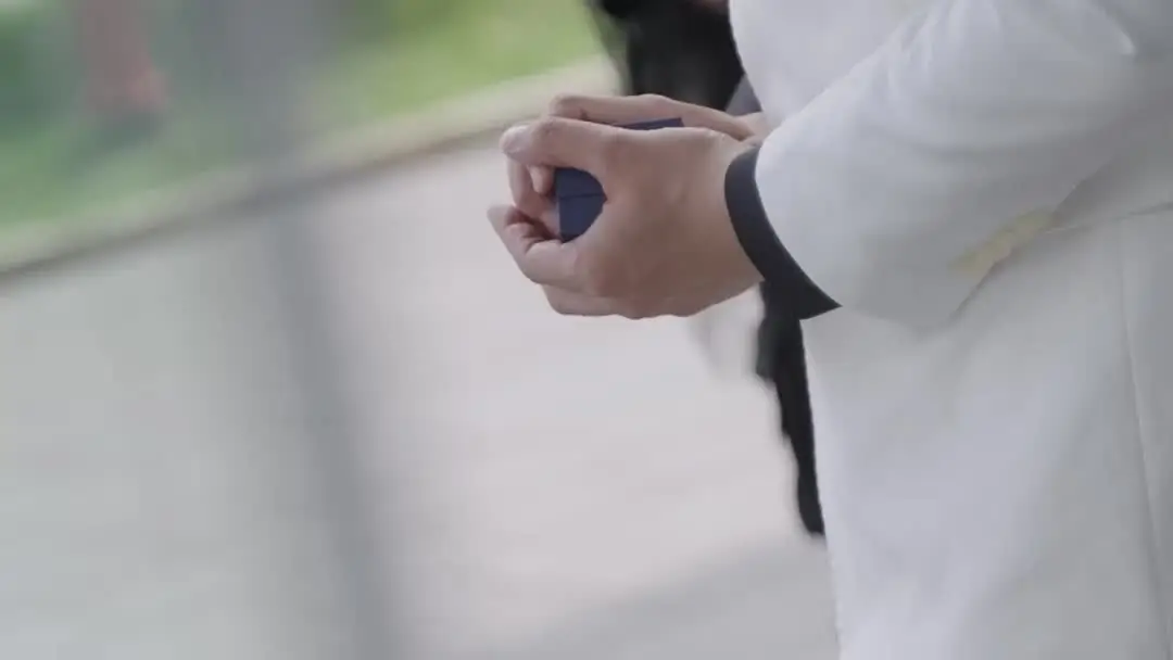 Clash of Light and Shadow: When the Suit Was Too White to Hide the Truth