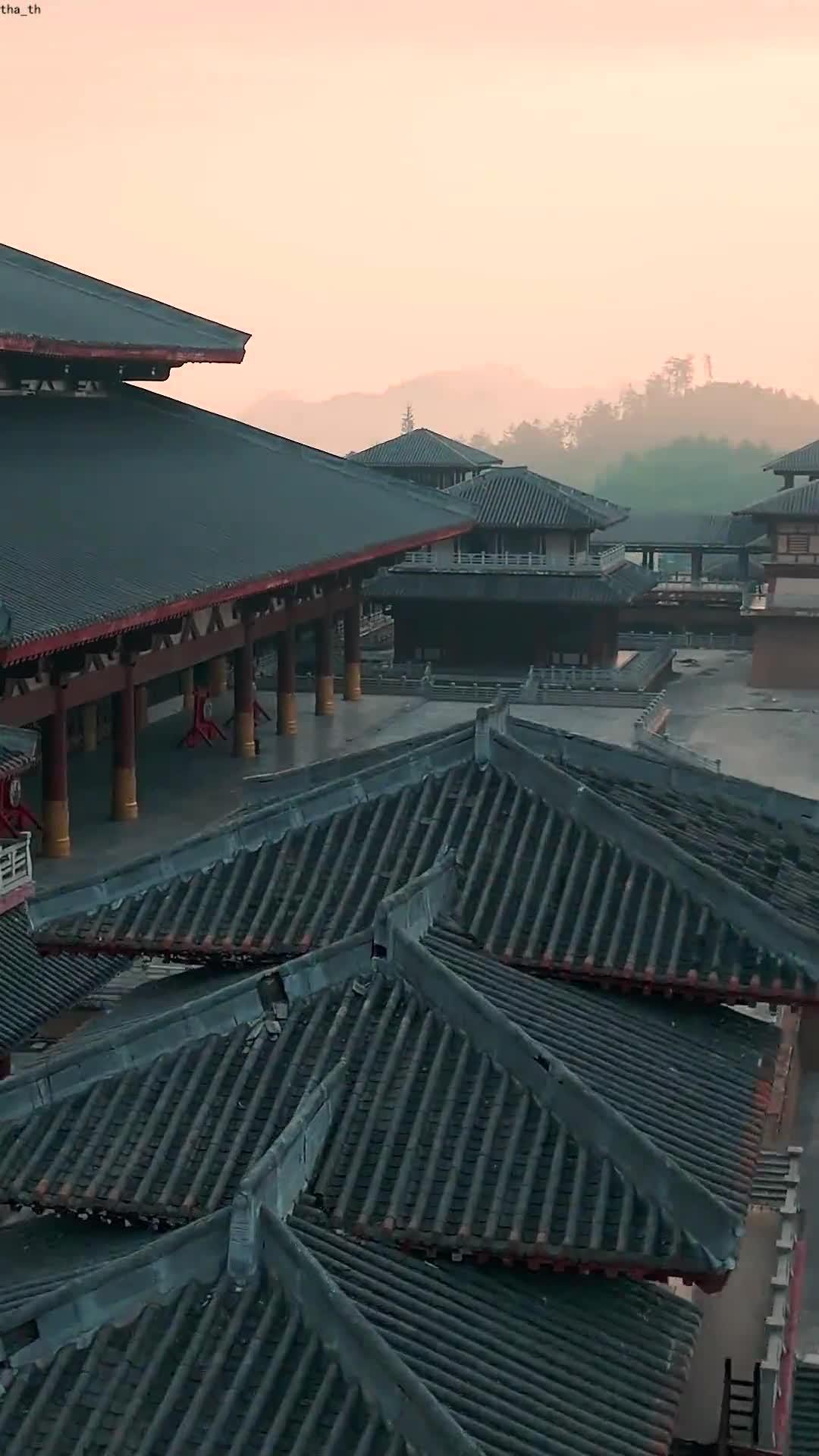 การกลับมาของนกฟีนิกซ์