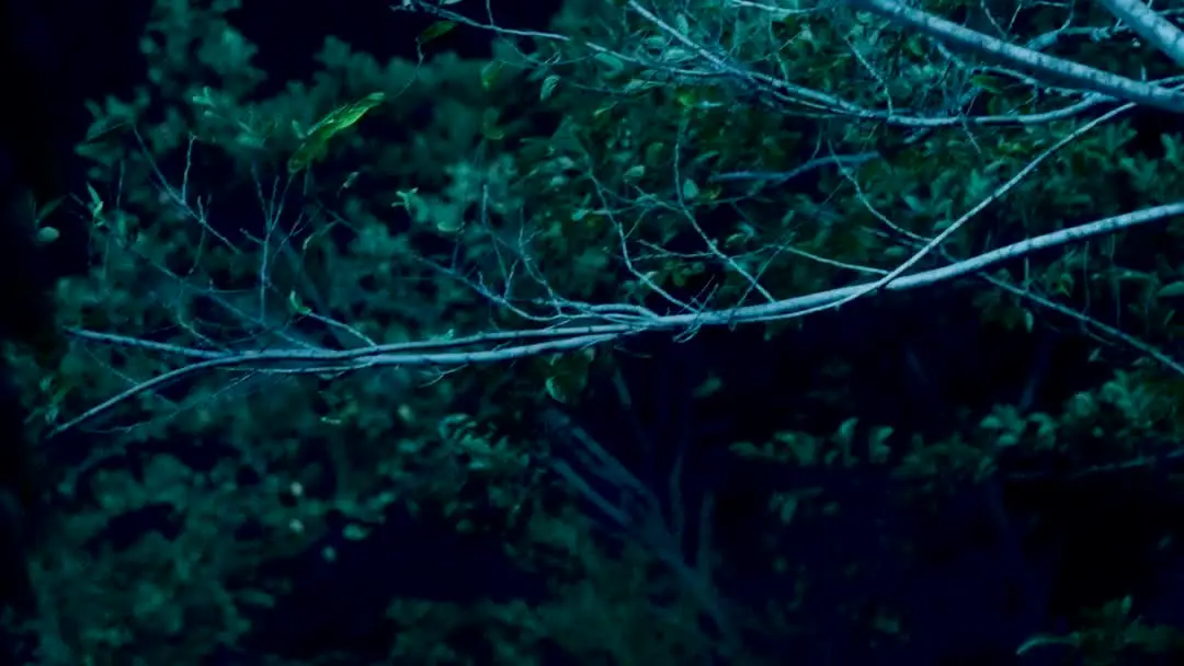 When the Host Becomes the Hostage in My Secret Billionaire Husband