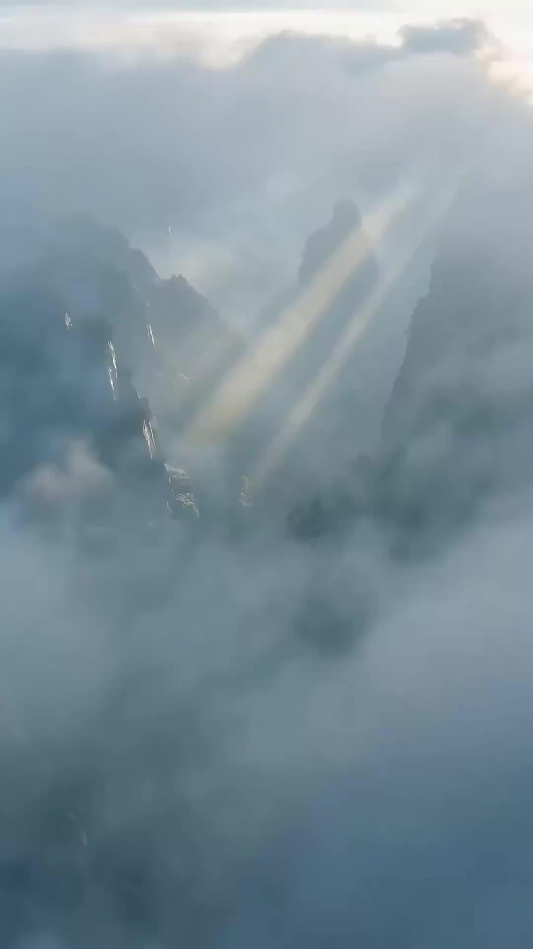 Dokuz Kuyunun Sırrı