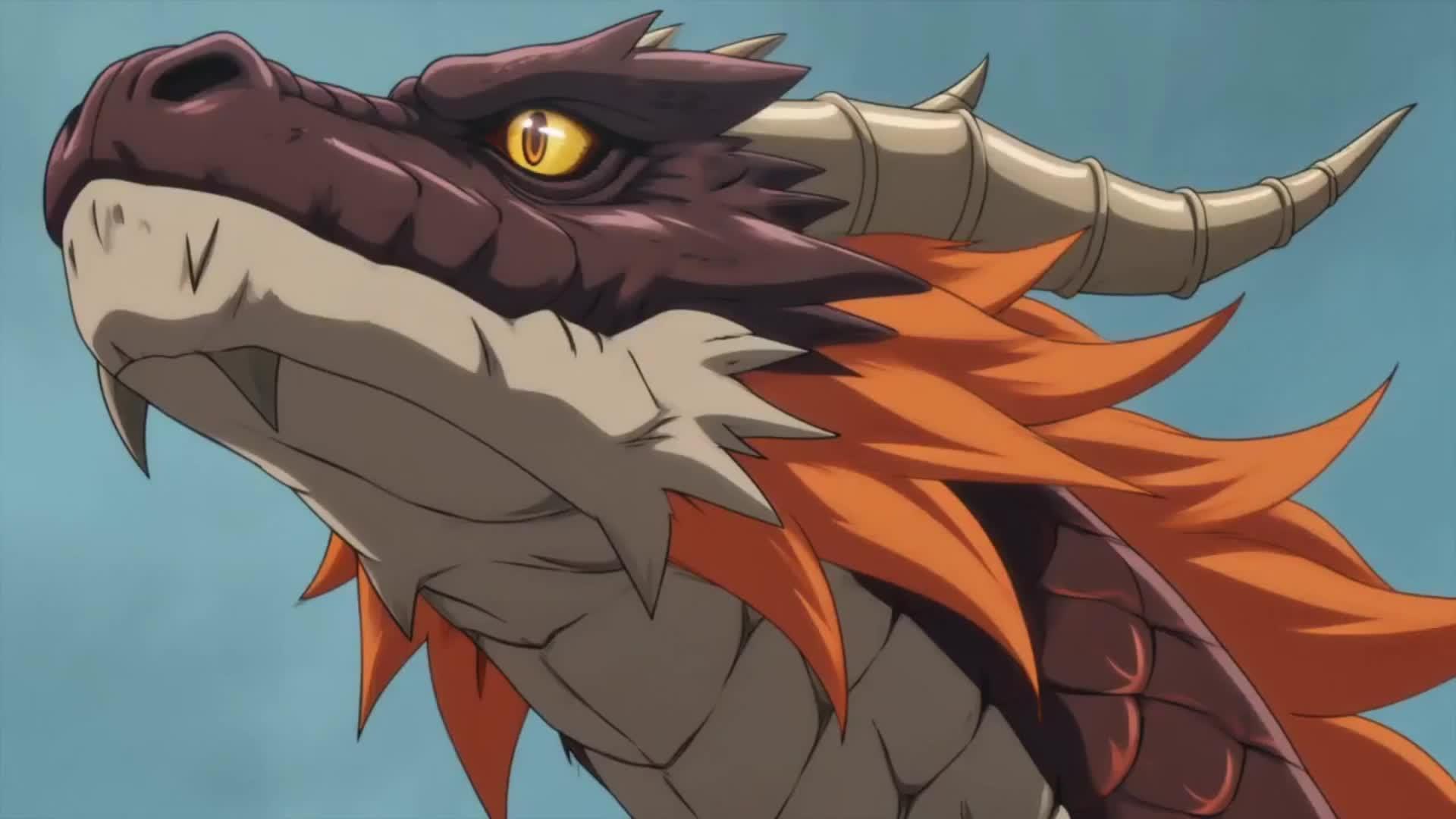 L'ÉVOLUTION DU DRAGON DIVIN