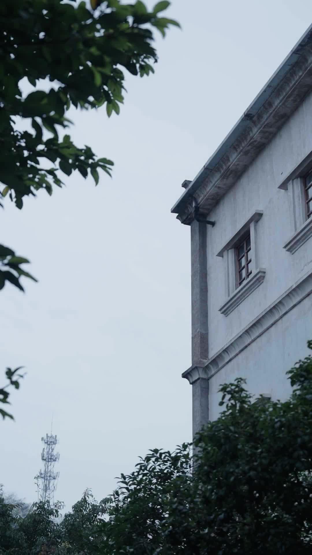 あなたの瞳が問いかける