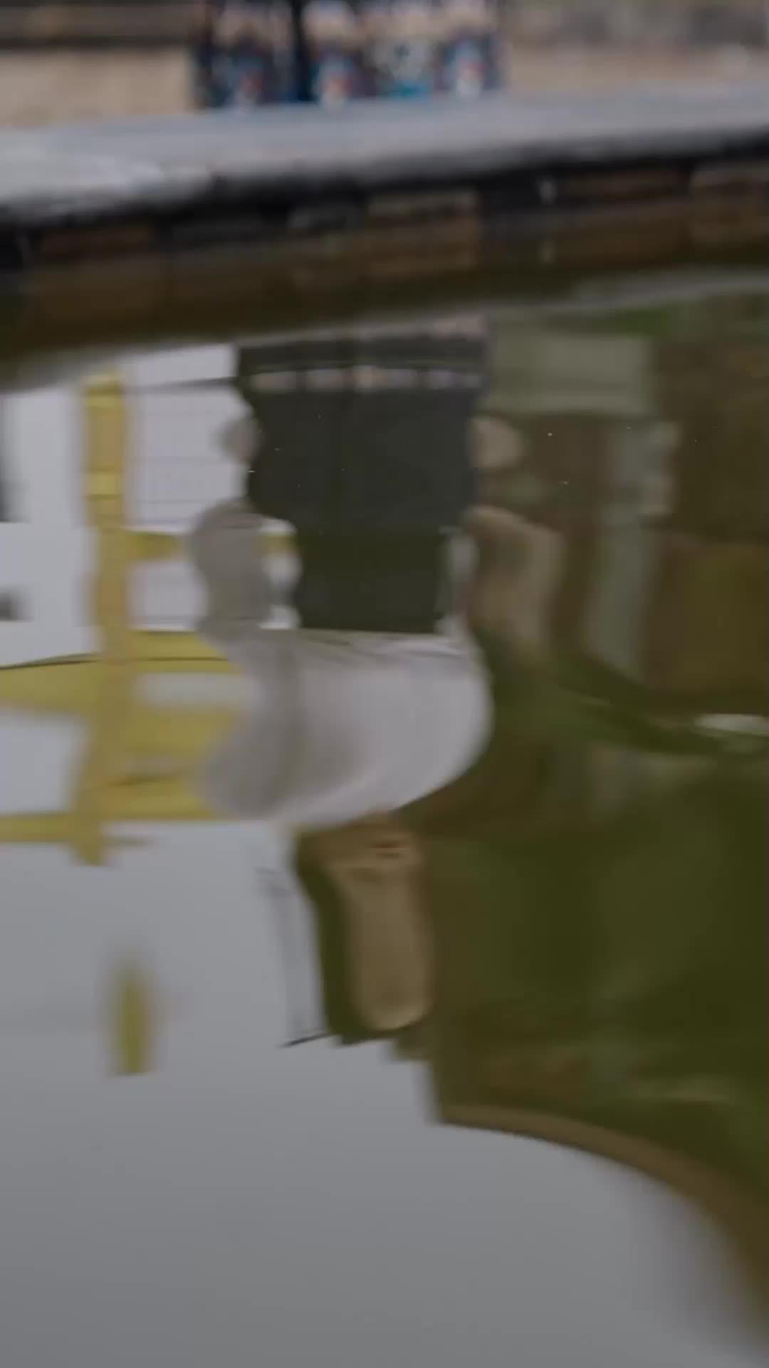 Kakak Agenku Kembali