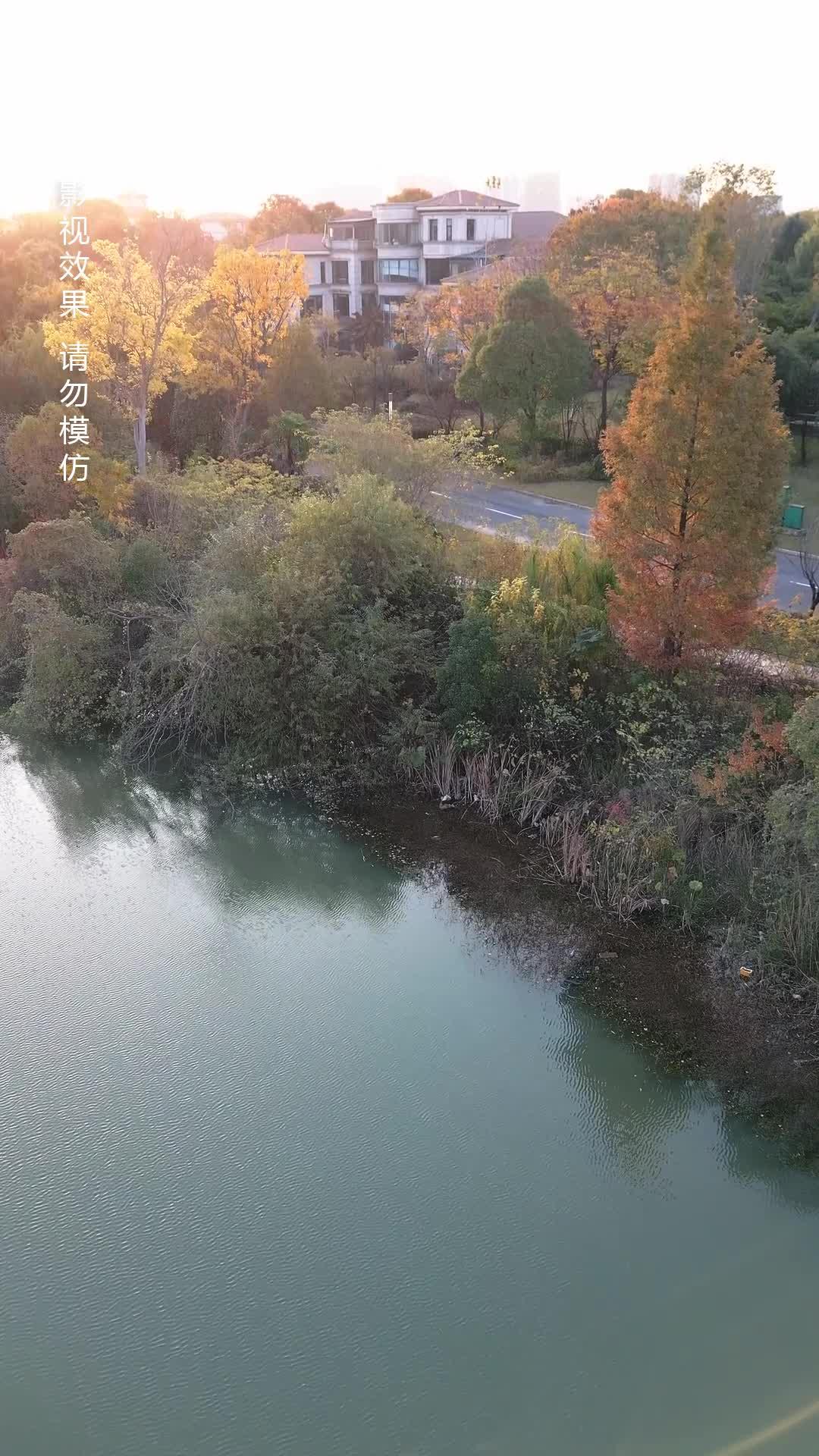 Casada com a Família Rica