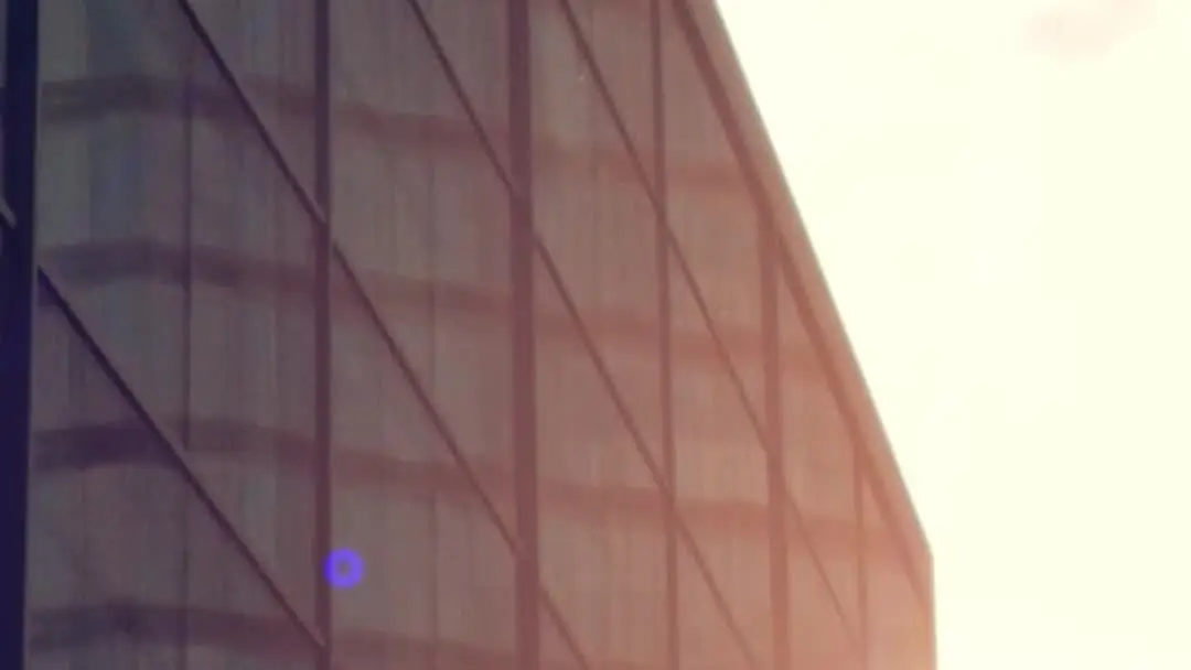 When the Champagne Glass Sees More Than You Do