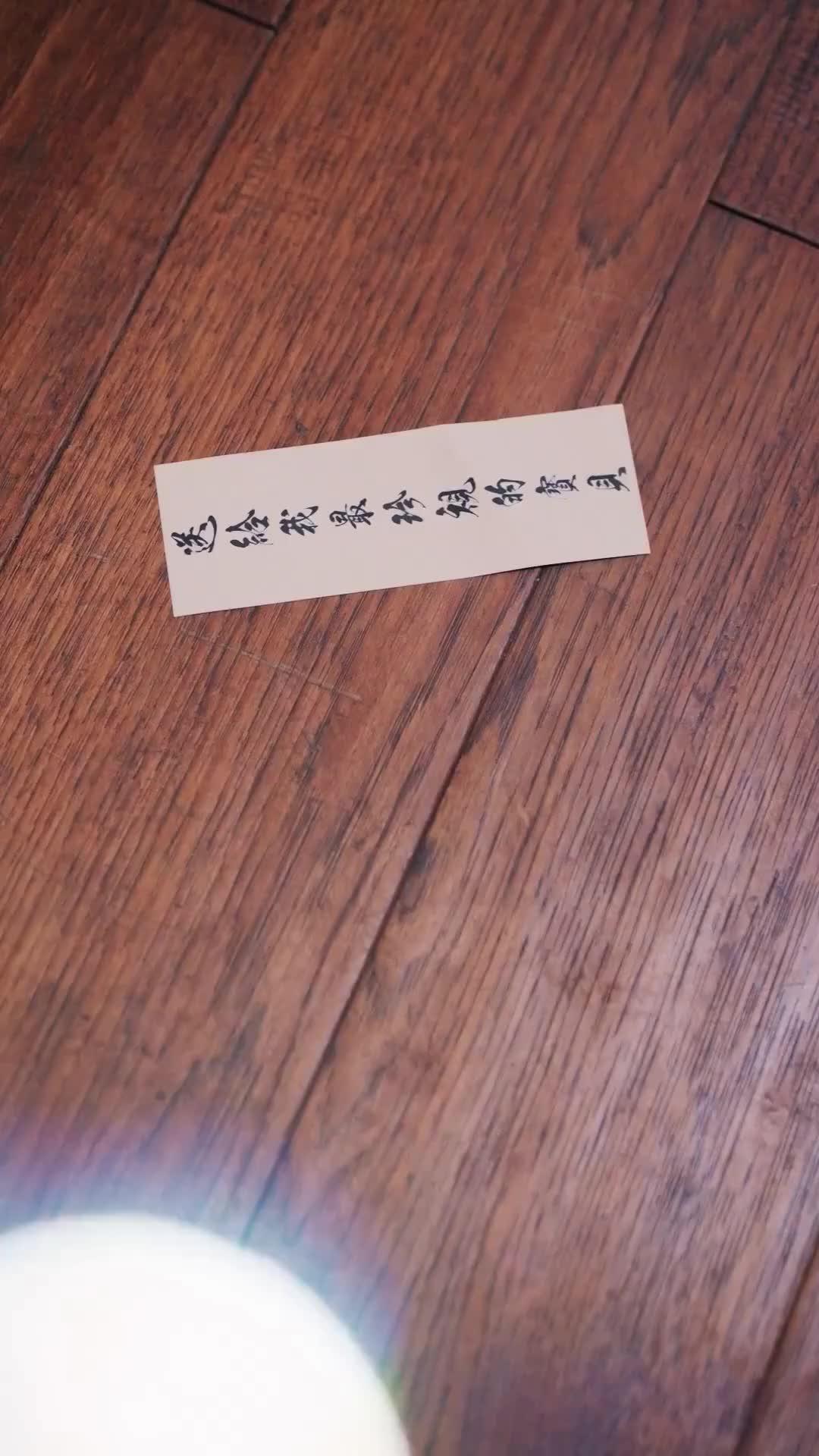 (Dubbed) Shattered Lily